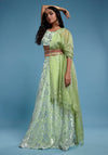 Pista Ruffle Sleeveless Lehenga Set