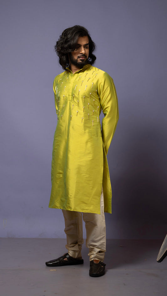 Sitara kurta Set