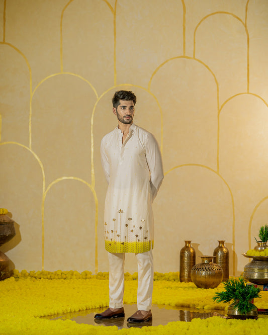 Ivory Garden Long kurta set