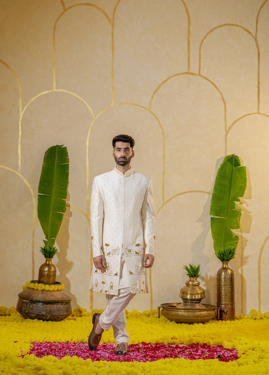Ivory Shaadi Sherwani