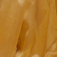 Gold Organza Saree Set